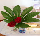 ���W�I�g�ƃg�[�j���O